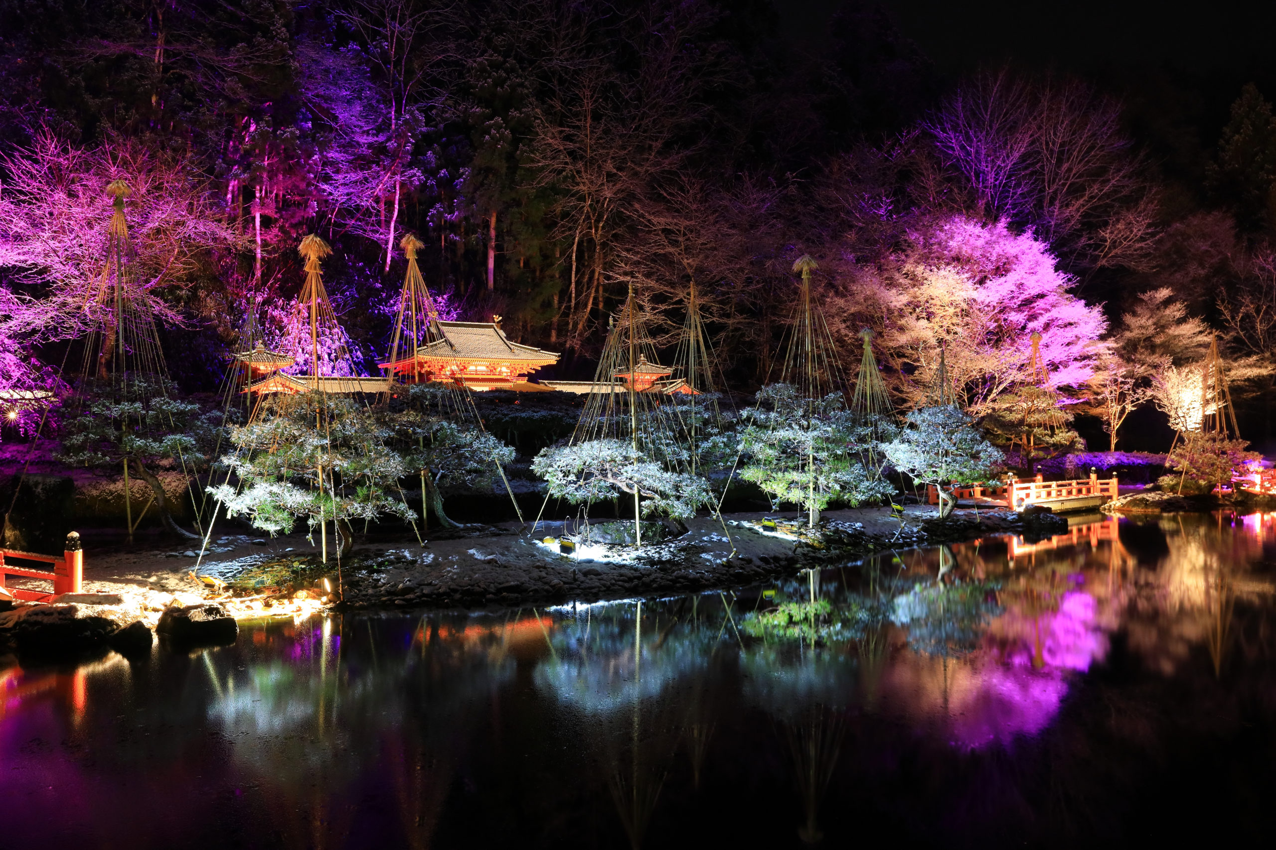 Iwate,Prefecture,Winter,Sky,Illumination