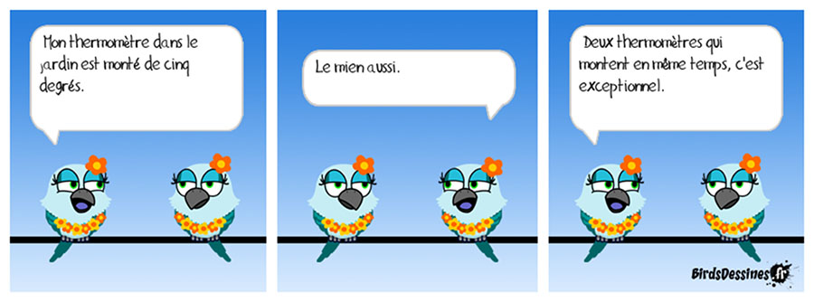 Schéma d’une VMC double flux